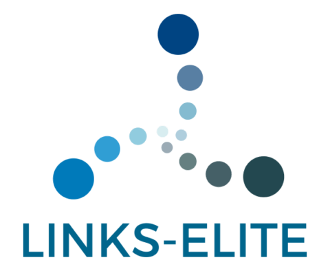 logo LINKS-ELITE Technologie de l'Information